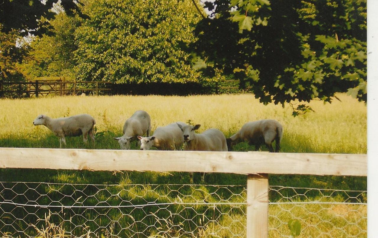 Bank Farm Cottages Nantwich Esterno foto
